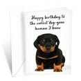 thumbnail image 1 of Prime Greetings Funny Dog Birthday Card Pun With Rottweiler, 1 of 5