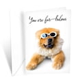 thumbnail image 1 of Prime Greetings Funny Dog Birthday Card Pun With Sunglasses, 1 of 5