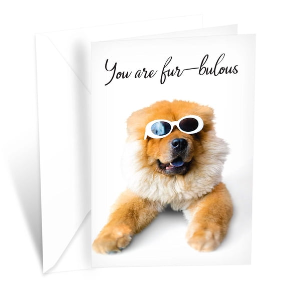 Prime Greetings Funny Dog Birthday Card Pun With Sunglasses