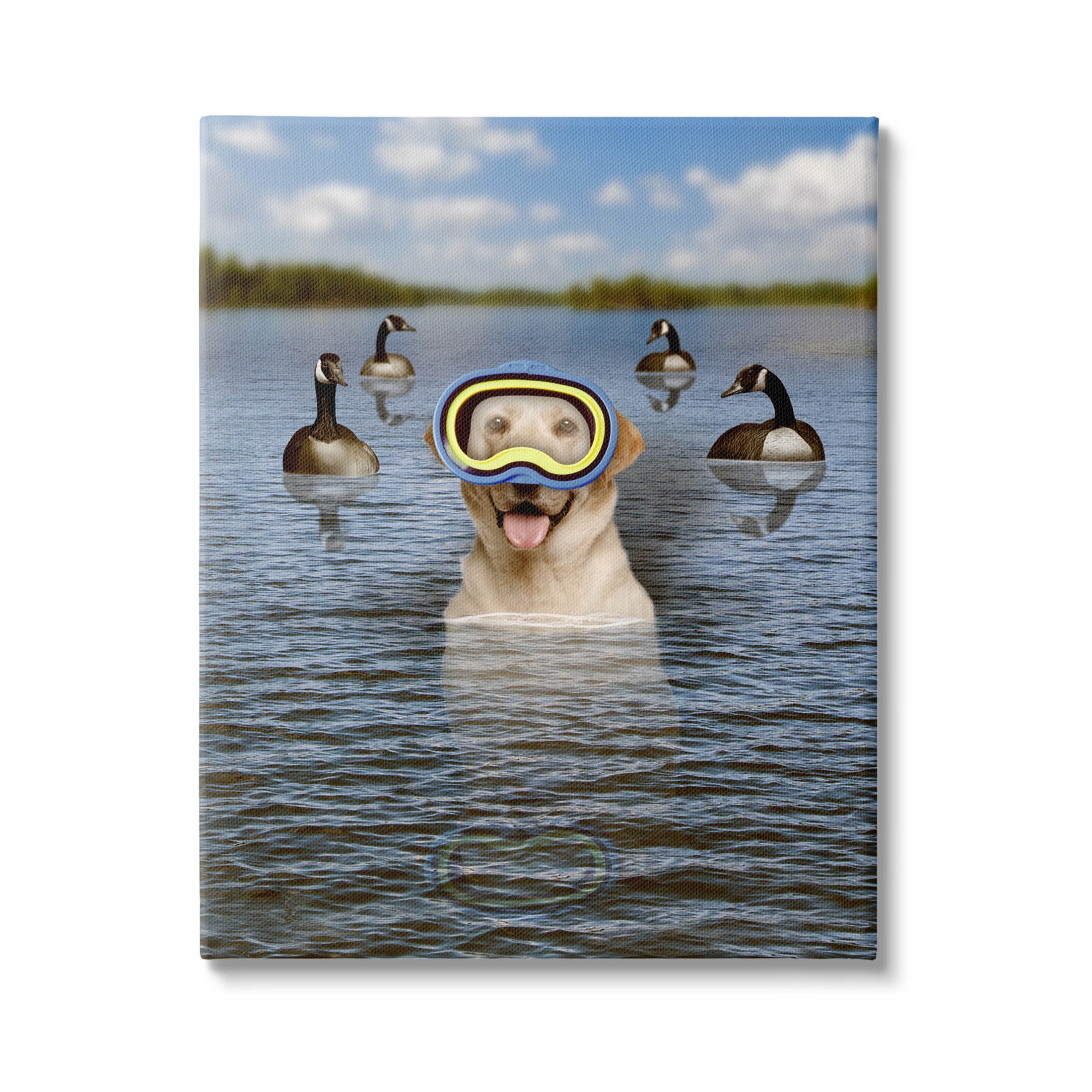 Funny Dog Goggles Swimming Bay Animals & Insects Graphic Art Gallery Wrapped Canvas Print Wall Art