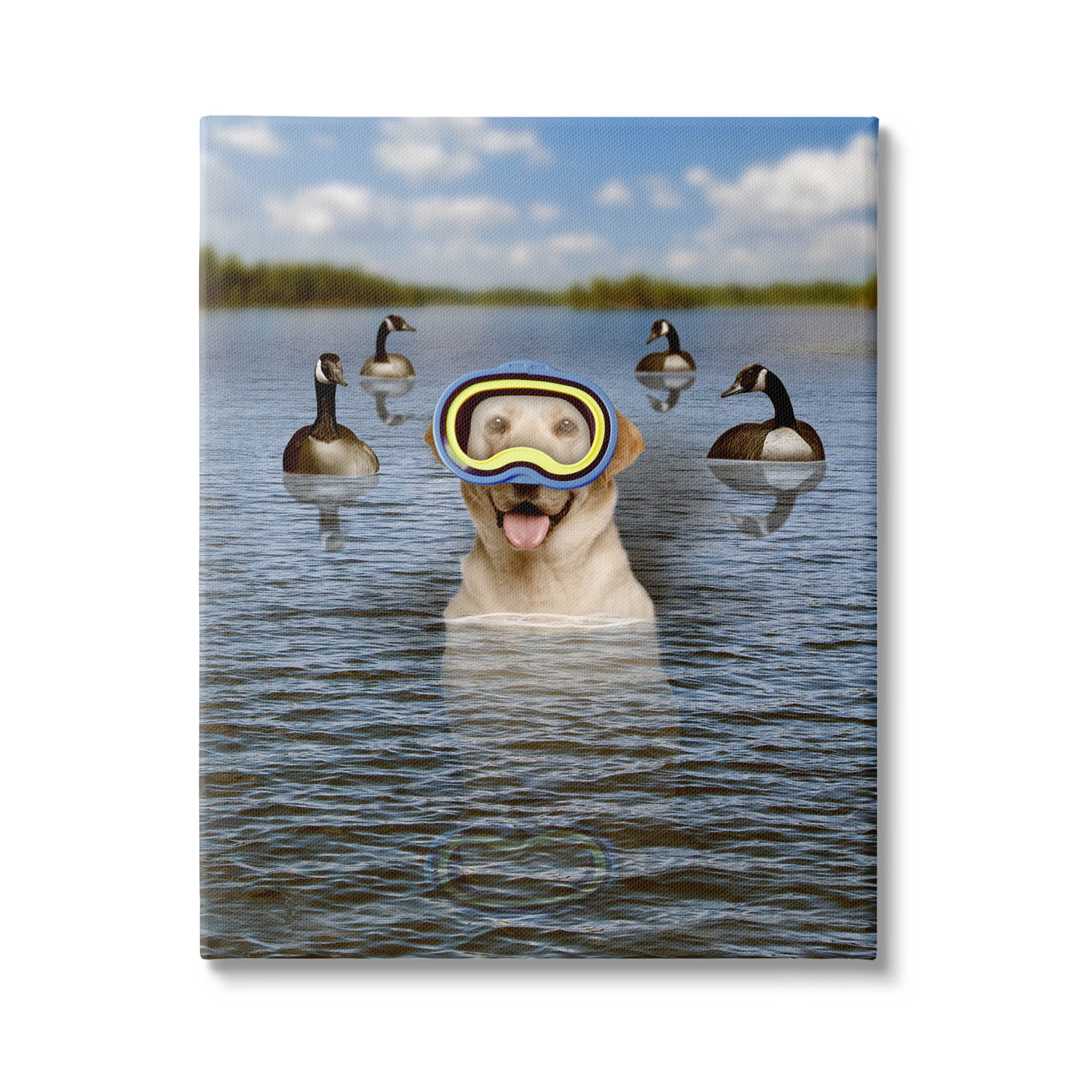 Funny Dog Goggles Swimming Bay Animals & Insects Graphic Art Gallery Wrapped Canvas Print Wall Art