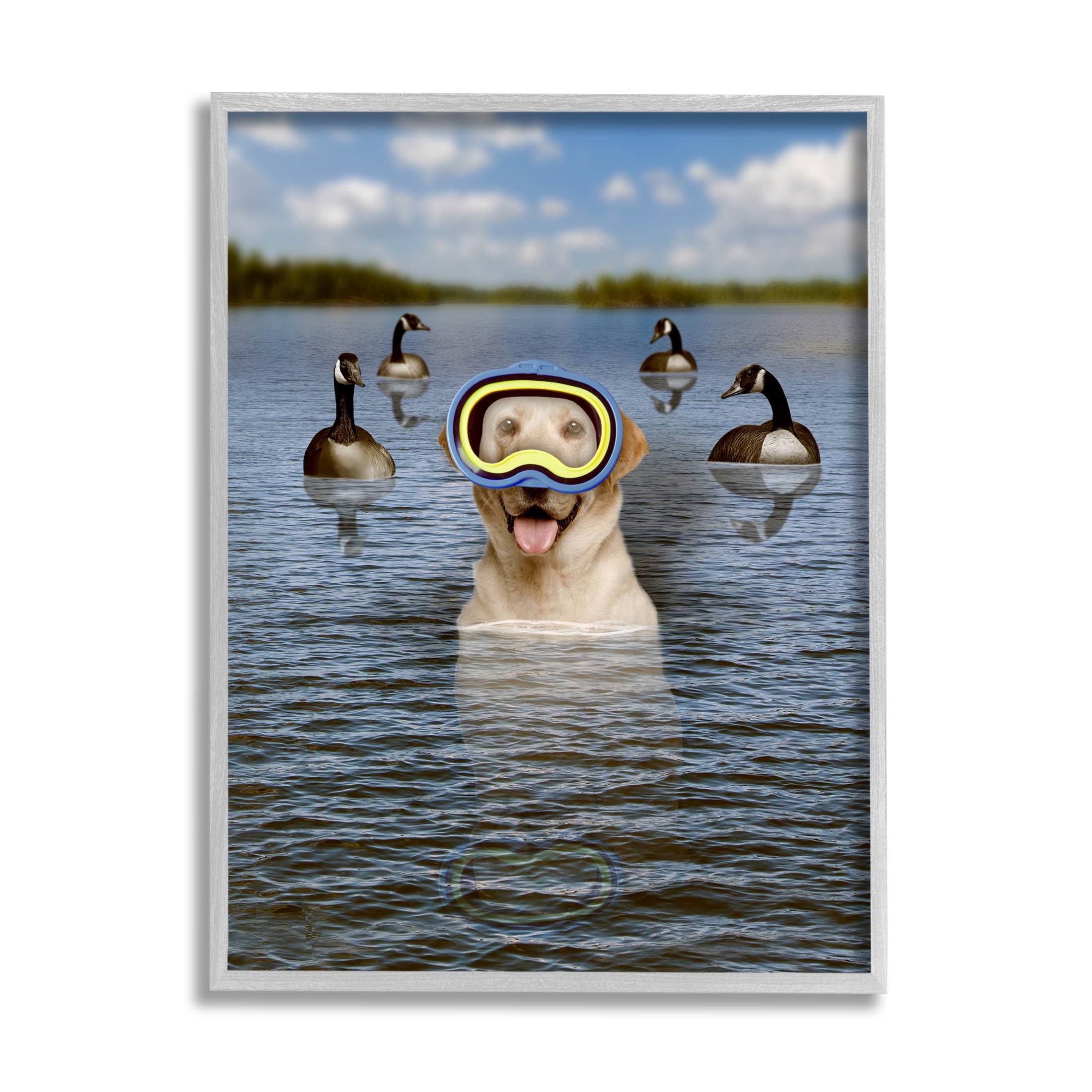 Funny Dog Goggles Swimming Bay Animals & Insects Graphic Art Gray Framed Art Print Wall Art