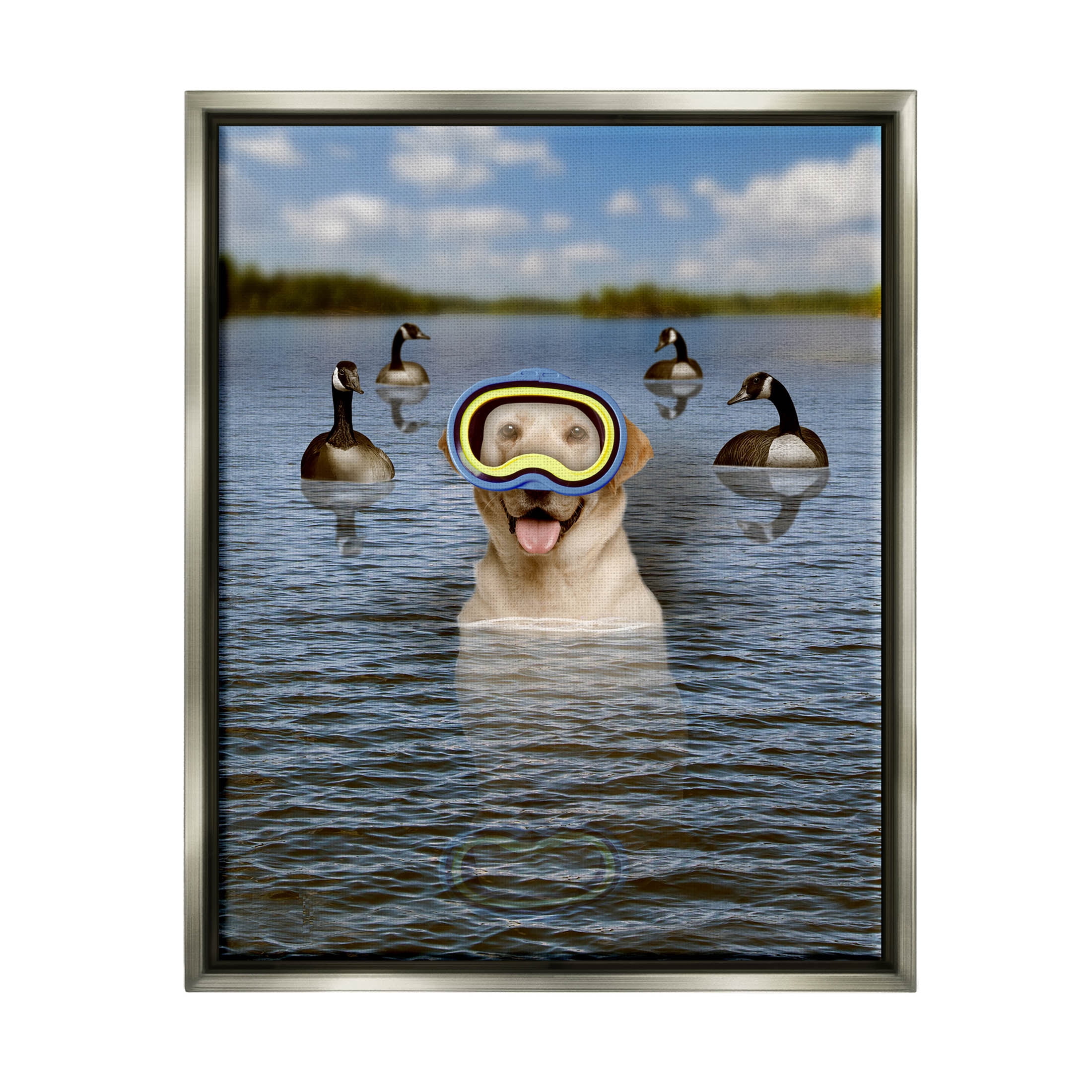 Funny Dog Goggles Swimming Bay Animals & Insects Graphic Art Luster Gray Framed Art Print Wall Art