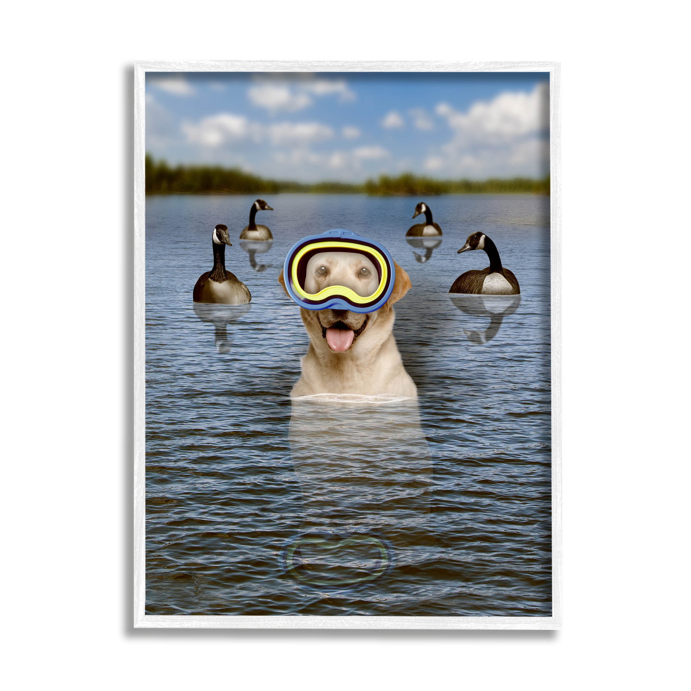 Funny Dog Goggles Swimming Bay Animals & Insects Graphic Art White Framed Art Print Wall Art