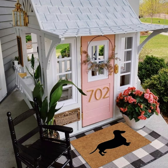 Funny Dog Mat Decorative Door Mat Bathroom Welcome Mat Door Mat Floor Mat Polyester Carpet,C,Polyester