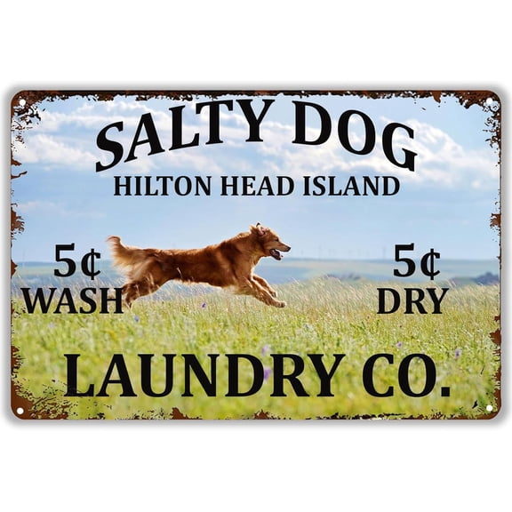 Funny Dog Metal Sign Salty Dog Hilton Head Island Laundry Co Retro Tin Plaque for Home Bar Pub Club Cafe Room Bathroom Garage Man Cave 8x12 inch