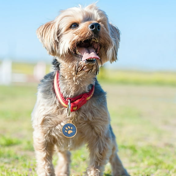 Funny Dog Paw Deep Engraved Stainless Steel Pet ID Tag For Dog Cat Dog Collar Pendant Microchip Pet Accessories DOPI