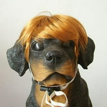 Funny Dog Wig Pet Costumes, Cat Costume Synthetic Accessories Small Dog Headwear for Halloween Christmas Eve Festival Party Decor, Head Wear Apparel Toy（Gold）