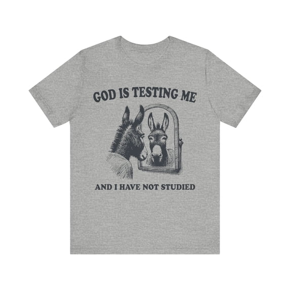 Funny Donkey Shirt, Donkey Lover Unisex Shirt Sarcastic Humor Graphic Tee