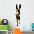 thumbnail image 1 of Funny Donkey with Long Wall Decal by Wallmonkeys Peel and Stick Graphic (36 in H x 9 in W) WM118336, 1 of 4