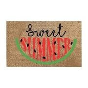 Funny Door Mat Summer Theme Mat Sweet Watermelon Printing Entry Way Rugs Indoor Personalized Home Decor 16x24IN Summer Door Mats Coir Door Mat for Outside Patio Floor Entry Porch Garage Office