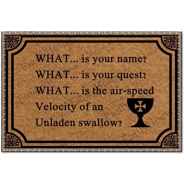 Funny Door Mats Outdoor Entrance, Entryway Rug What is Your Name and