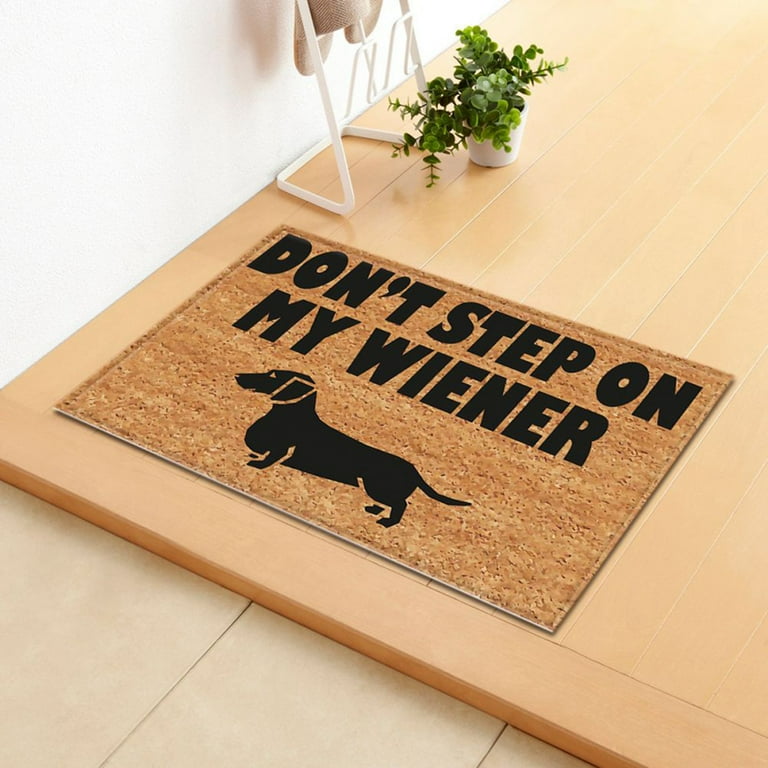 Outdoor dog doormat store
