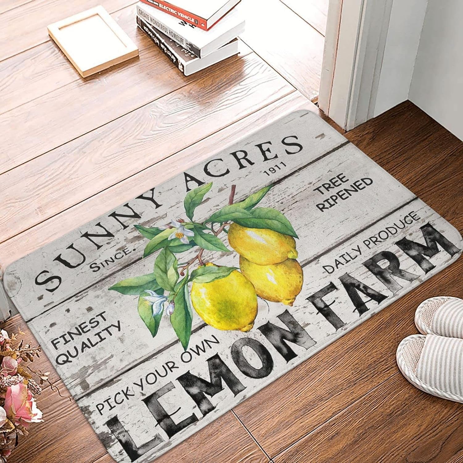 Funny Doormat Indoor Entrance Doormat Indoor for Entryway Funny Lemon ...