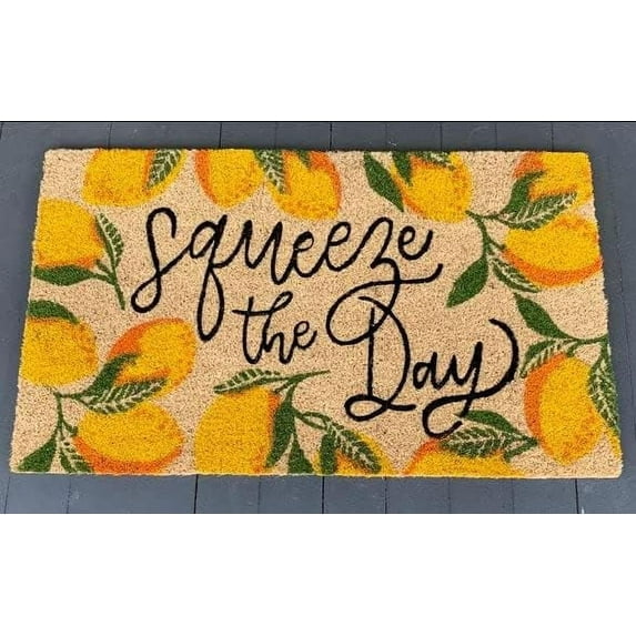 Funny Doormat Outdoor Fun Greeting Door Mat, Squeeze The Day Mat, Lemon Doormat, Doormat for Outdoor & Indoor Use, Housewarming Gift Washable Mat Cute Rugs for Kitchen Bathroom 17x30 inch