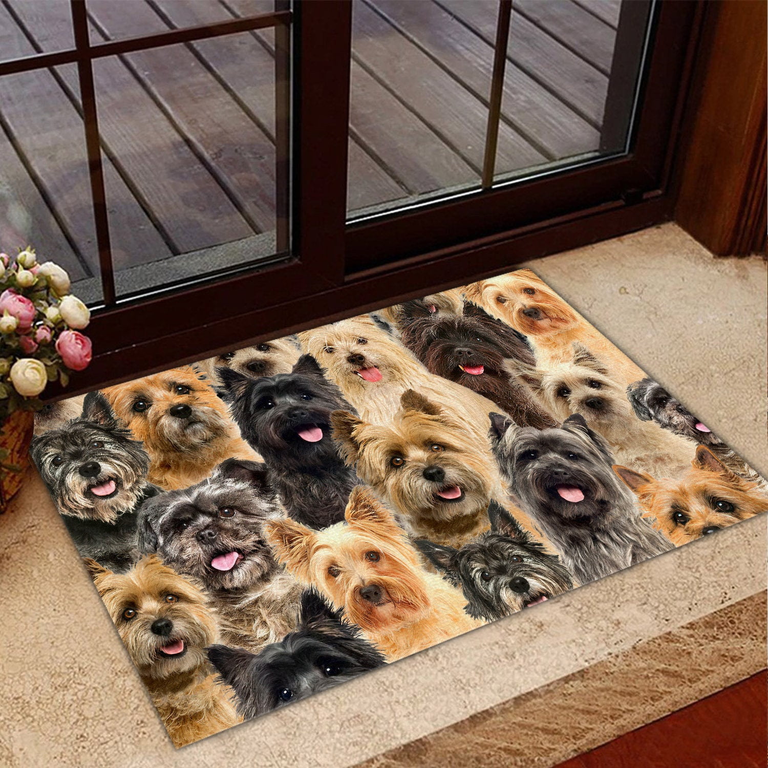 Funny Doormat Mat,Cairn Terrier NonSlip Front Door Mats Rugs
