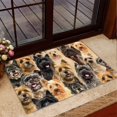 Funny Doormat Mat,Cairn Terrier NonSlip Front Door Mats Rugs