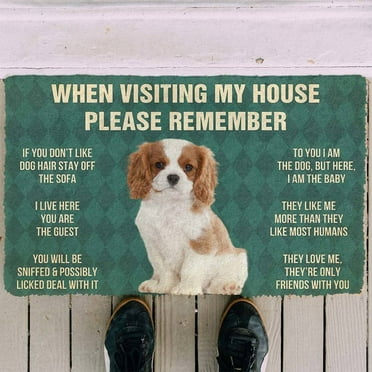 Funny Doormat Welcome Mat Non-Slip Front Door Mats Rugs for Indoor/Outdoor Entrance,Remember Cavalier King Charles Spaniel Dogs Puppy Entry Mats Carpets Absorbent Water and Mud 16X24 Inch