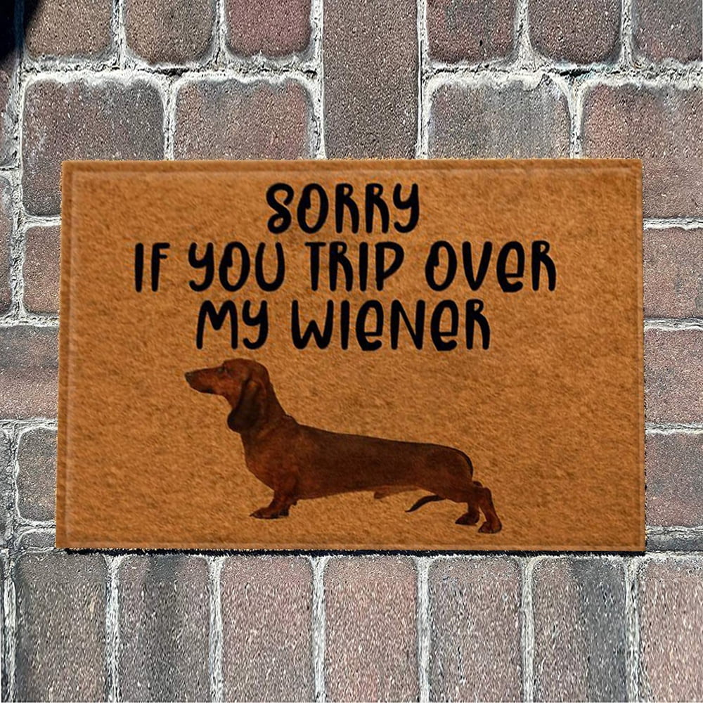 Funny Doormat Mats Crazy Dogs Don't Step On My Wiener Front