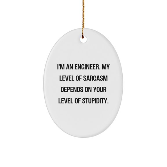 Funny Engineer Gifts for Him, Oval Ornament with Sarcasm Quote, Christmas Unique Presents from Friends to Family