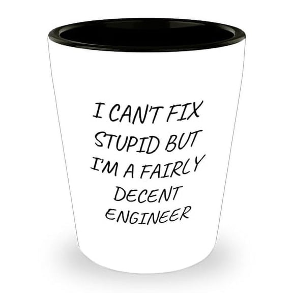 Funny Engineer Shot Glass Gifts | Sarcastic Unique Mother's Day Unique Gifts from Daughter to Mom | I Can't Fix Stupid But I'm A Fairly Decent Engineer