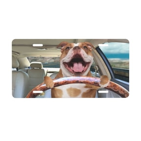 Funny English Bulldog Driving A Car Pattern License Plate Front Metal Car Plate 6×12 Inch Aluminum Noverlty License Plate Decorative Car Vanity Tag Plates Gifts