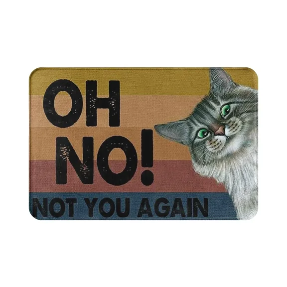 Funny Entrance Doormat Area Rug Carpet Oh No Not You Again Welcome Bath Mats Non-Slip Flannel Household Kitchen Goods Home Decor