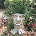 thumbnail image 1 of Unique Abstract Beauty Face Flower Pot, Funny Planters Decoration Flower Resin Flower Pot, Face Flower Pot Head Planter Flower Pot Home Art Decor E, 1 of 6