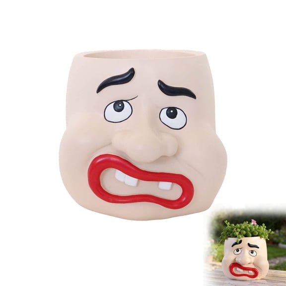 Funny Face Planter Pot, Cartoon Expression Resin Succulent Pot for Indoor Plants