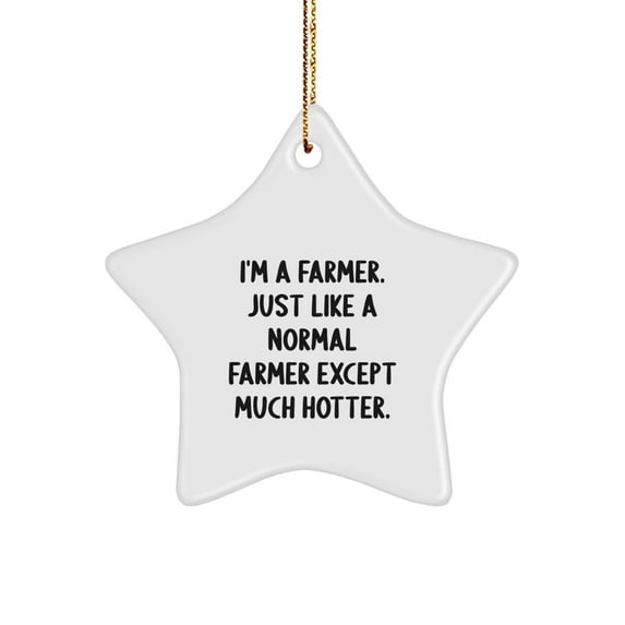 Funny Farmer Star Ornament Gifts for Men, Gifts from Family, Unique Christmas Unique Gifts for Home Decor, Inspirational Star Shaped Ornament