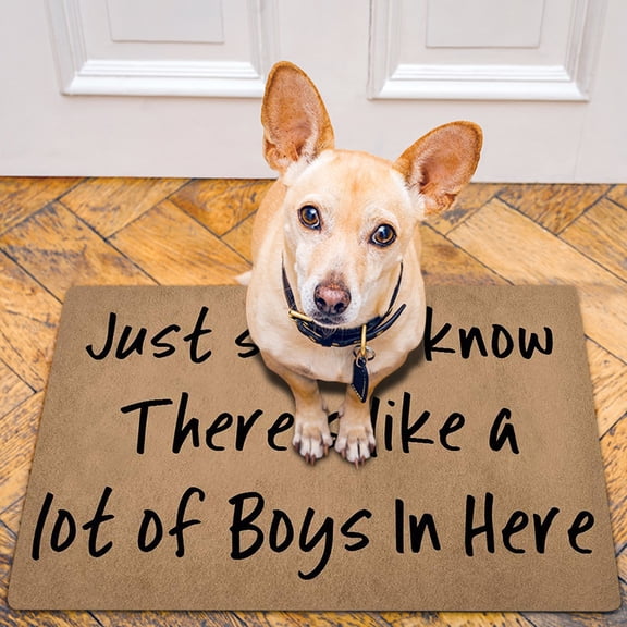 Funny Floor Mats Decorative Doormat Life Quotes Or Letters Welcome Doormat Polyester Carpet,B,Polyester