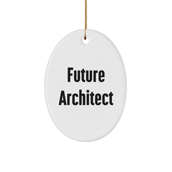 Funny Future Architect Quotes Oval Ornament, Gifts for Architects from Friends, Unique Christmas Unique Gifts