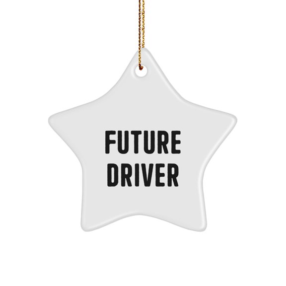 Funny Future Driver Star Ornament Gifts from Friends to Future Driver, 'You're the Star' Quote, Christmas Unique Gifts
