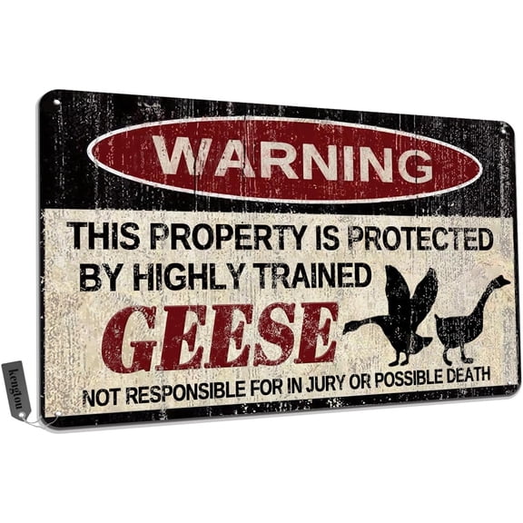 Funny Geese Metal Tin Sign, Vintage Wall Decor, Warning This Property Protected by Geese, 12x8 Inch
