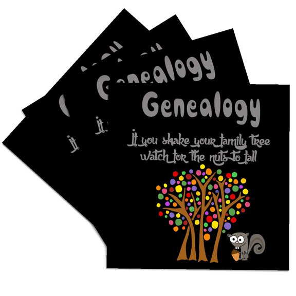 3drose, Funny Genealogy If You Shake Your Family Tree Watch for Nuts to Fall, Set of 4 Ceramic Tile Coasters
