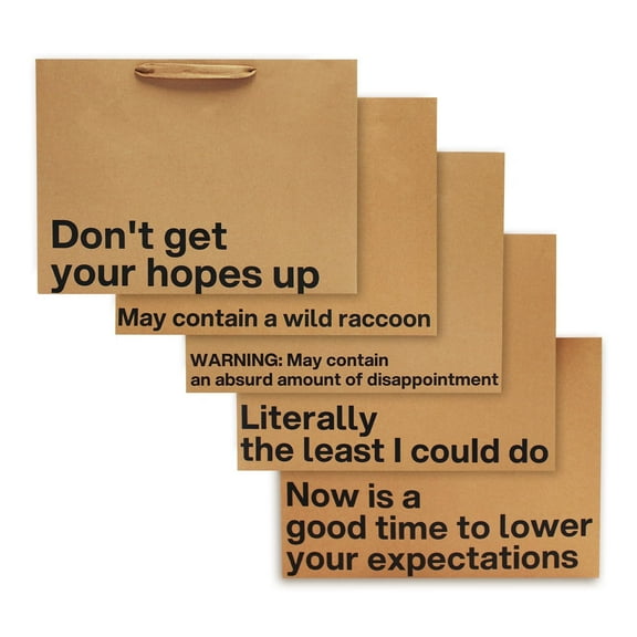 Funny Gift Bags Set of 5 – Large 16 x 6 x 12 inch Kraft Gift Bags with Snarky Sayings