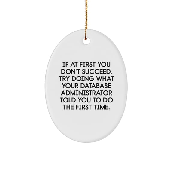 Funny Gifts from Friends for Database Administrators Christmas Ornament - If At First You Don't Succeed, Try Doing What Your DBA Told You To Do First