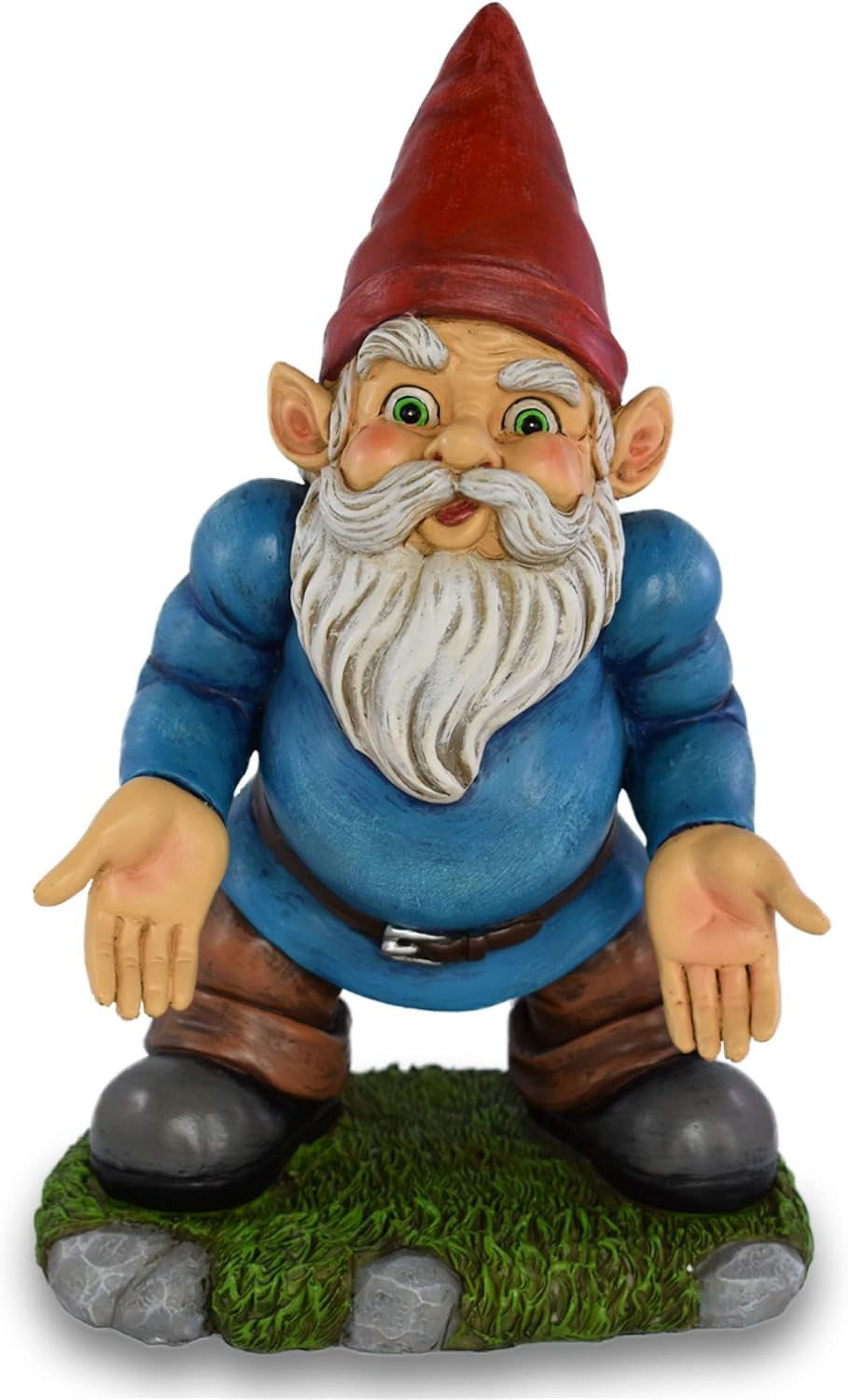 Funny Gnomes Statue Norm The Gnome Miniature for Indoor/Outdoor
