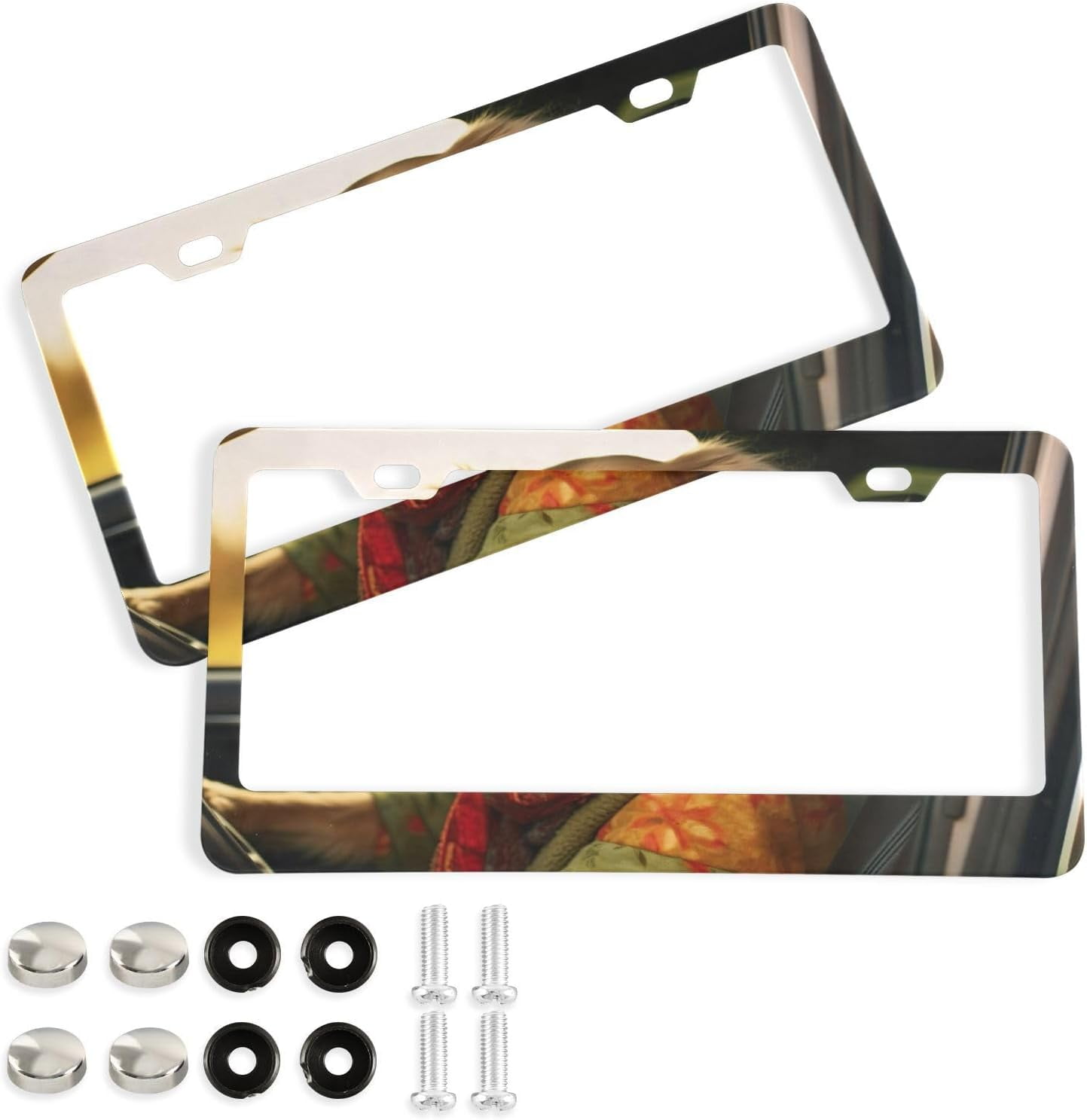 Funny Golden Retriever License Plate Frames Set of 2, Universal
