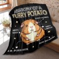 thumbnail image 1 of Funny Guinea Pig Anatomy Blanket,Cute Guinea Pig Gifts, for Kids,Soft Plush Flannel Animal Quilts for Bed Sofa Bed Couch Room Decorations 50 in x 40 in Small for Children, 1 of 6
