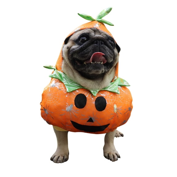 Funny Halloween Pumpkin Cosplay Dog Clothes for Small Dogs Winter French Bulldog Jacket Standing Cartoon Dog Halloween Costume Chihuahua Pet Clothes