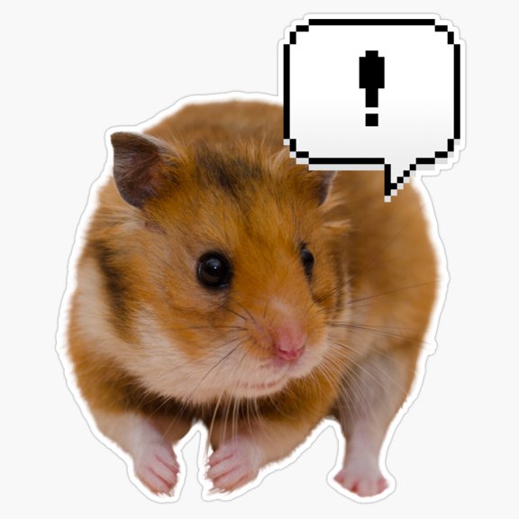 Funny Hamster Surprised Protective Animal Charity Meme Sticker