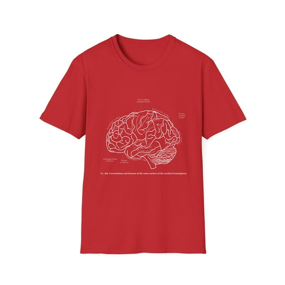 Funny Human Brain Anatomy Physiology Men Women Gift Retro Medical Science Anatomical Student Unisex Softstyle T-Shirt