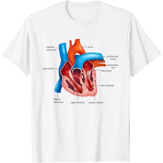Funny Human Heart Anatomy Anatomical Heart T-ShirtMen and women, White T-shirt, size: Extra large