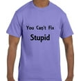 thumbnail image 1 of Funny Humor You Can't Fix Stupid T-Shirt, 1 of 1