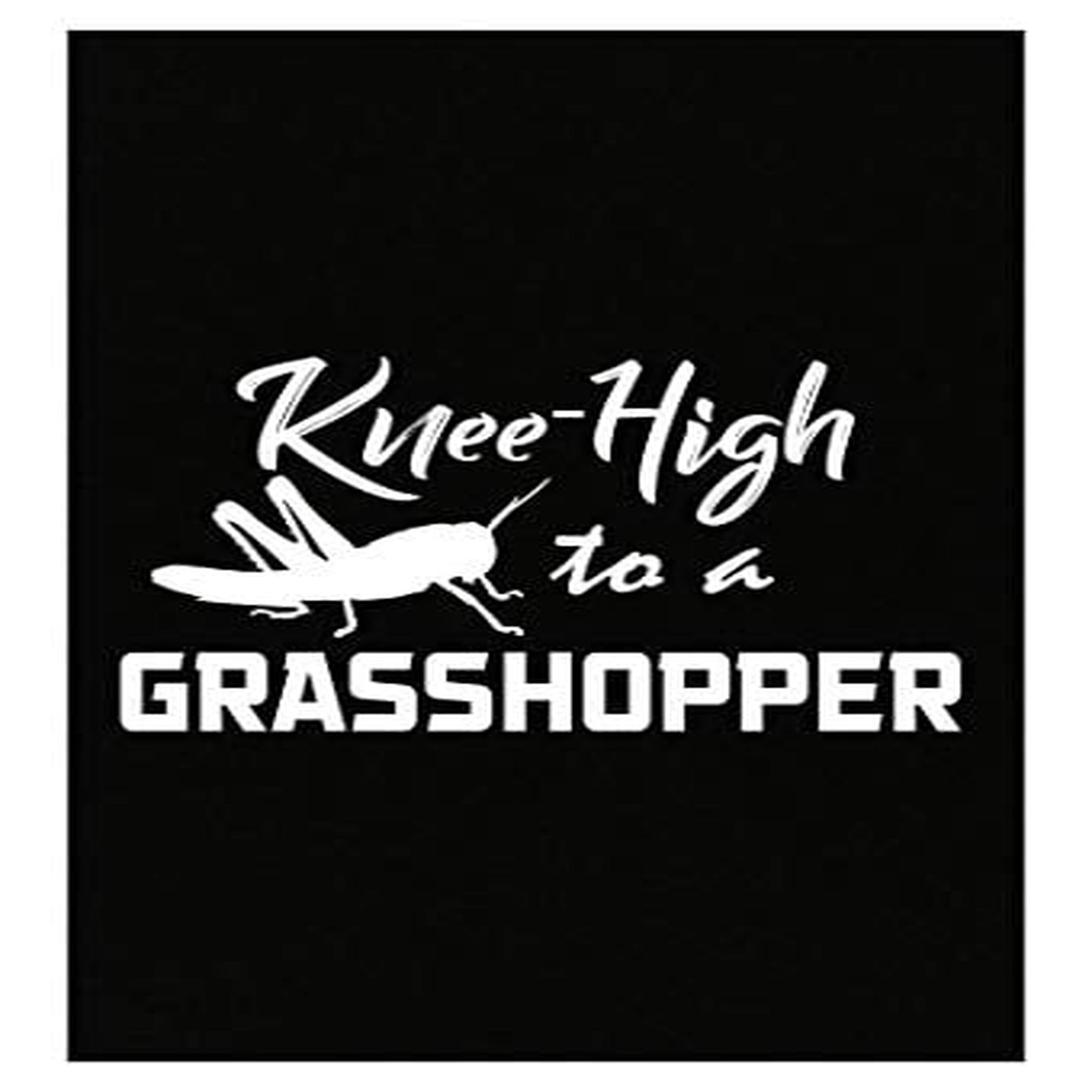 Funny Insect Poster - Wall Decor for Home Gift - Walmart.com