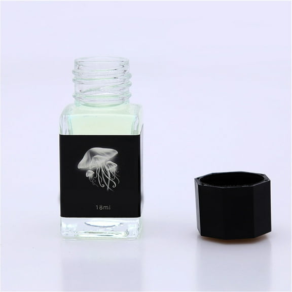 Funny Invisible Ink Colored Disappearing Ink 18ml Bottled for Glass Fountain Dip Pen Pen