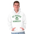 thumbnail image 1 of Funny Irish St. Patrick is My Homeboy Unisex Plus Fleece Graphic Hoodie Brisco Brands 5X, 1 of 3