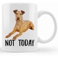 thumbnail image 1 of Funny Irish Terrier Red Not Today Dog Mug, Lazy Gift For Women Dogs Mom Coffee Mug 11oz, Mother's Day Gifts For Mom From Son, Kids, Gift For Mom, Funny Mom Mug, Birthday, Christmas Gift 11oz Or 15oz, 1 of 4