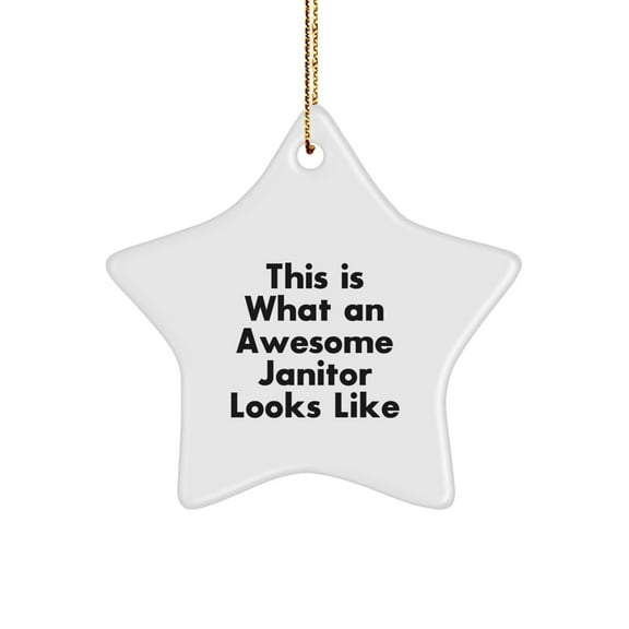 Funny Janitor Gifts: This Is What An Awesome Star Ornament Looks Like, White Star Shaped, Gifts from Friends for Janitor, Christmas Unique Gifts
